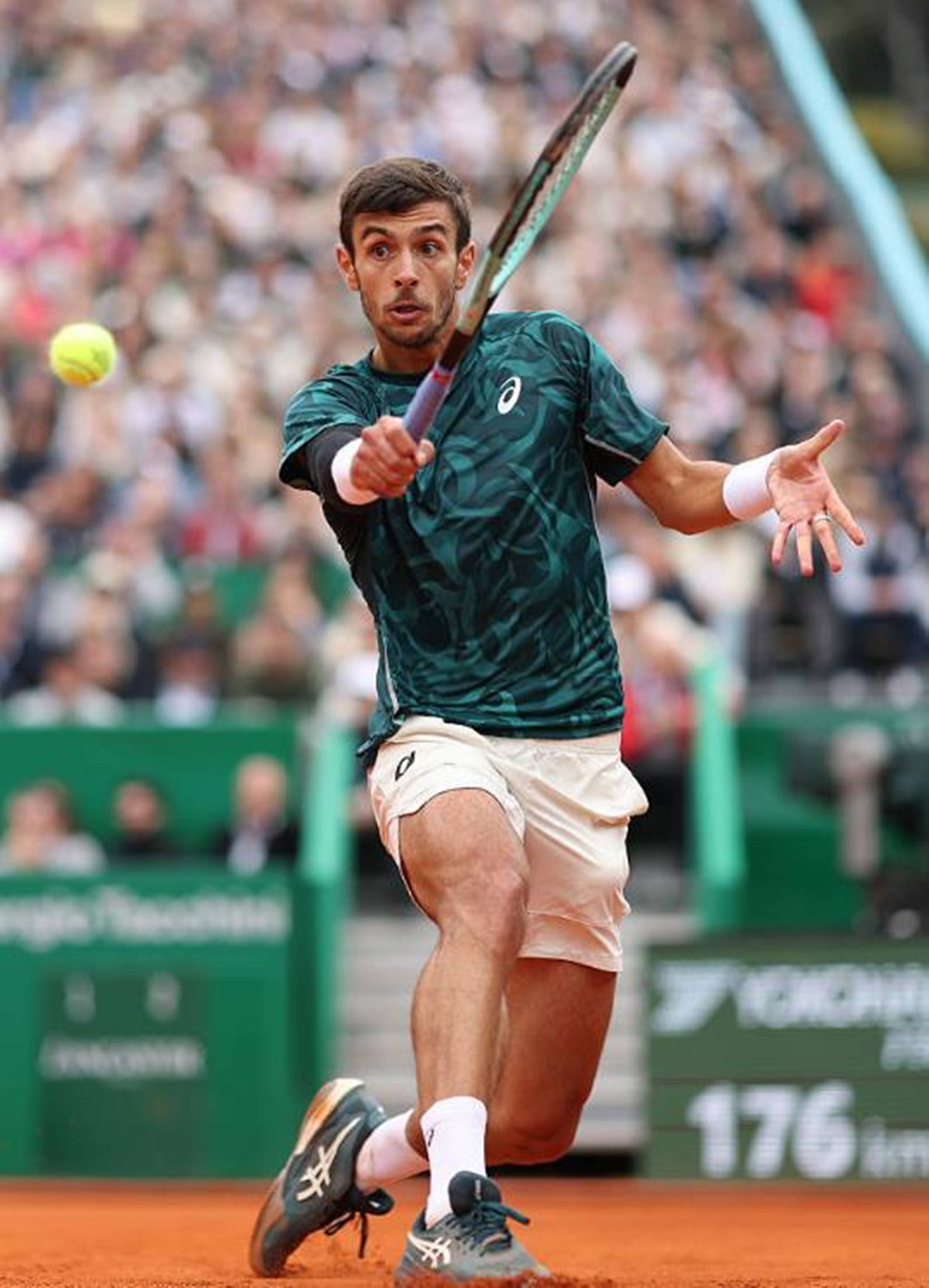 的印尼公开 的印尼公开